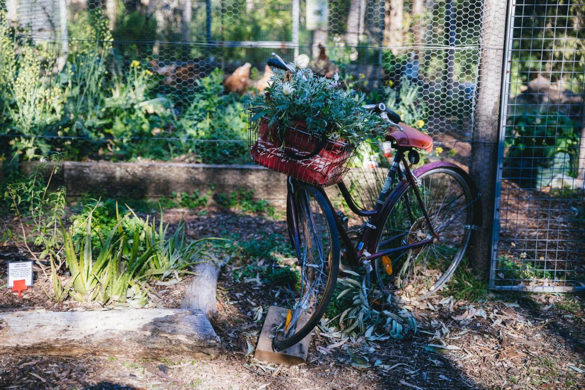 Bombah Point Eco Cottages Bulahdelah Exterior foto